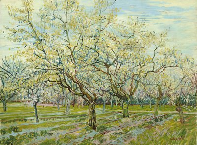 De witte boomgaard door Vincent van Gogh